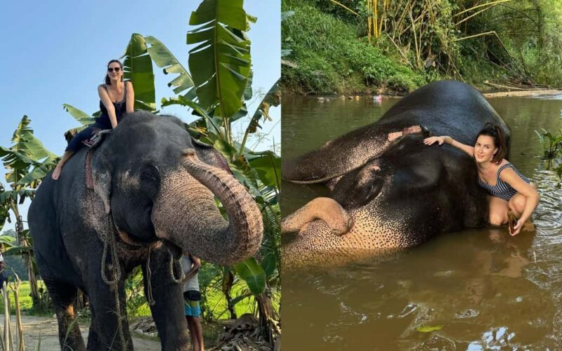 From Colombo: Kandy Temple of Tooth & Elephant Orphanage - How the Day Unfolds: A Detailed Breakdown