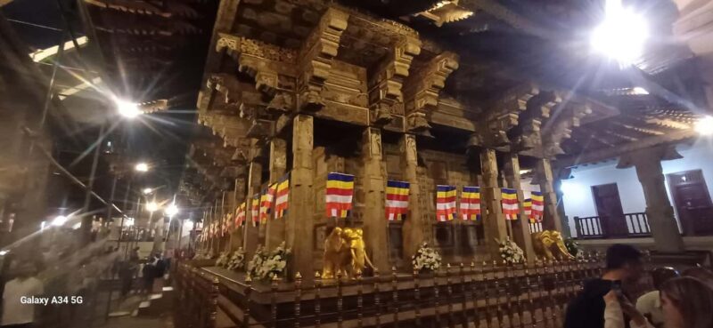 From Colombo: Kandy Temple of Tooth & Elephant Orphanage - Who Should Consider This Tour