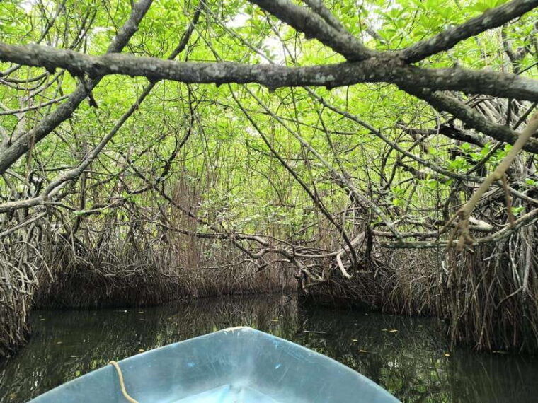 from-colombo-madu-river-safari-turtles-galle-fort