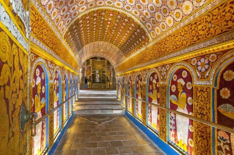 From Colombo & Negombo: Elephant Orphange and Kandy day Trip - A Detailed Review of the From Colombo & Negombo: Elephant Orphange and Kandy Day Trip