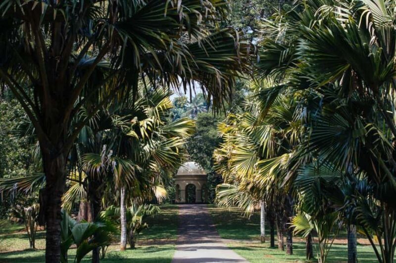 From Colombo & Negombo: Elephant Orphange and Kandy day Trip - The Sum Up: Who Will Appreciate This Tour?