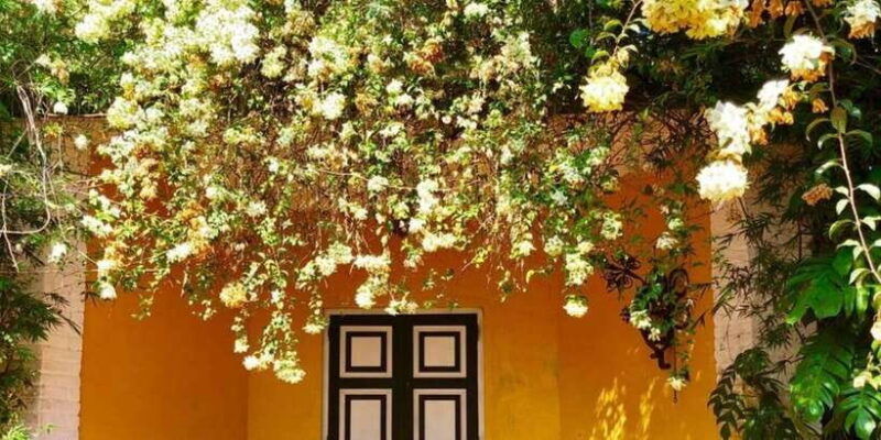 from-colombo-negombo-lunuganga-brief-garden-odyssey