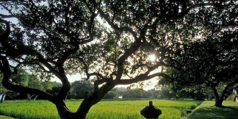 from-colombo-negombo-lunuganga-brief-garden-odyssey