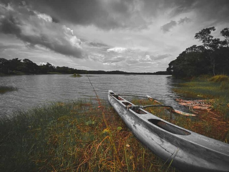 From Colombo or Kandy: Sigiriya Rock Fortress Day Tour - Return Journey and Practical Details