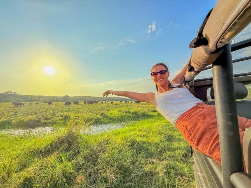 From Colombo: Private 2-Day Trip Dambulla, Sigiriya & Safari - Who Would Love This Tour?