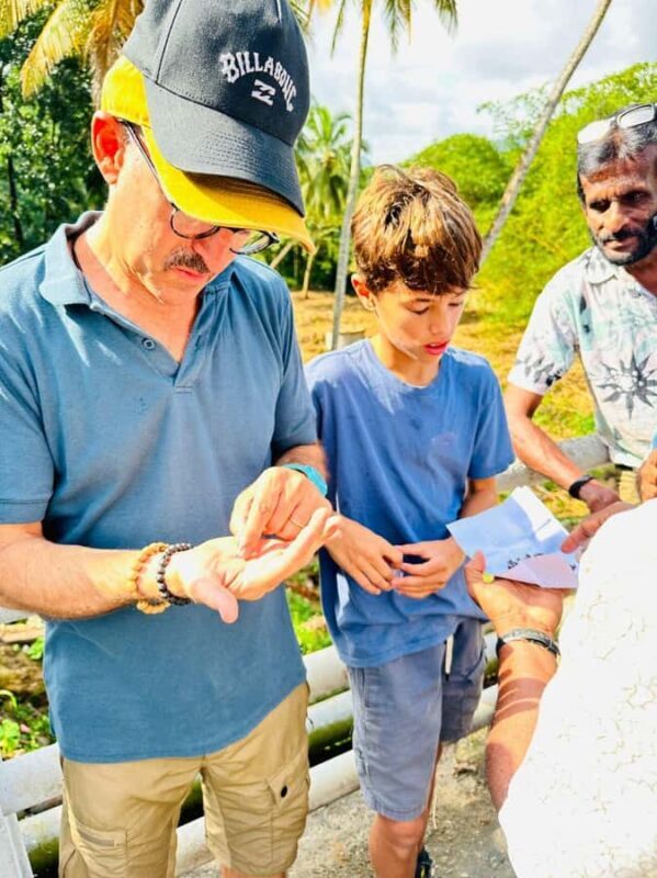 From Colombo: Ratnapura Gem, Tea & Spice Day Tour - Who Should Consider This Tour?