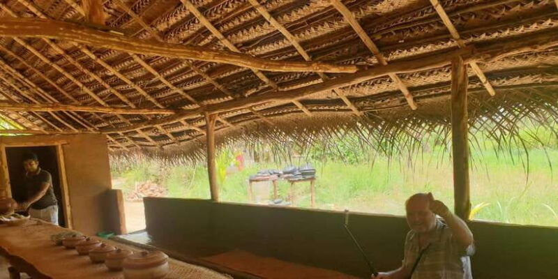 from-colombo-sigiriya-dambulla-minneriya-park-day-trips