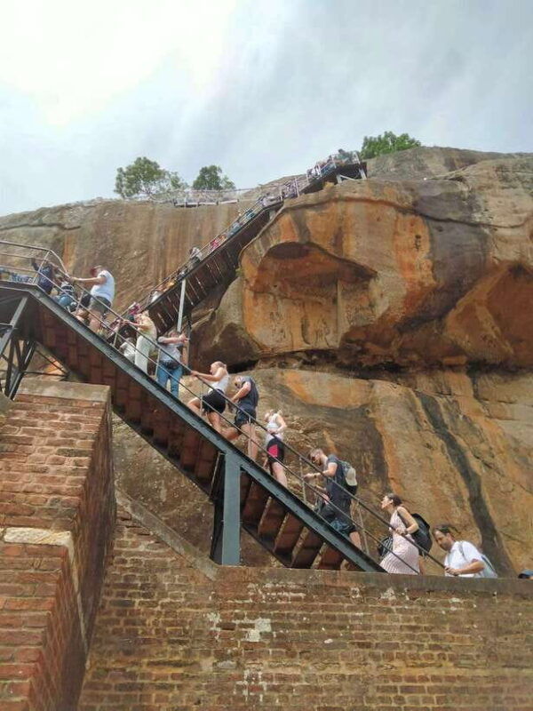 from-colombo-sigiriya-rock-dambulla-minneriya-4x4-safari