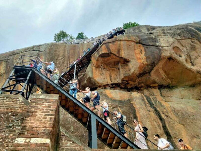 from-colombo-sigiriya-rock-dambulla-minneriya-4x4-safari