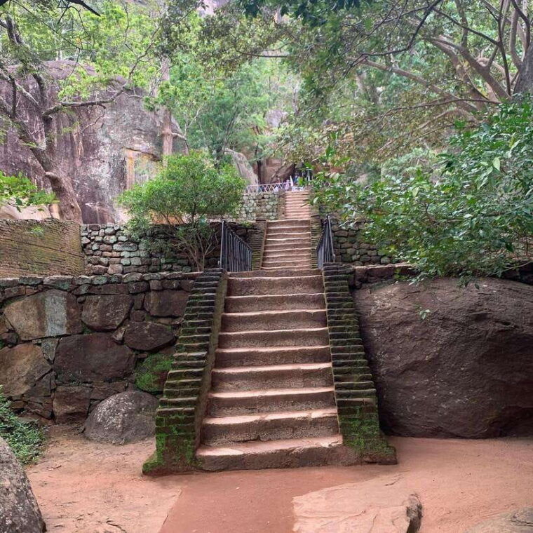 from-colombo-sigiriya-rock-dambulla-minneriya-4x4-safari