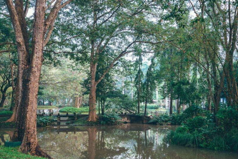 from-colombo-sigiriya-rock-dambulla-minneriya-safari