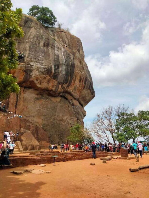 from-colombo-sigiriya-rock-dambulla-minneriya-safari