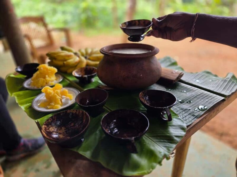From Colombo: Sinharaja Kithul Toddy Tasting & Stream Bath - Key Points