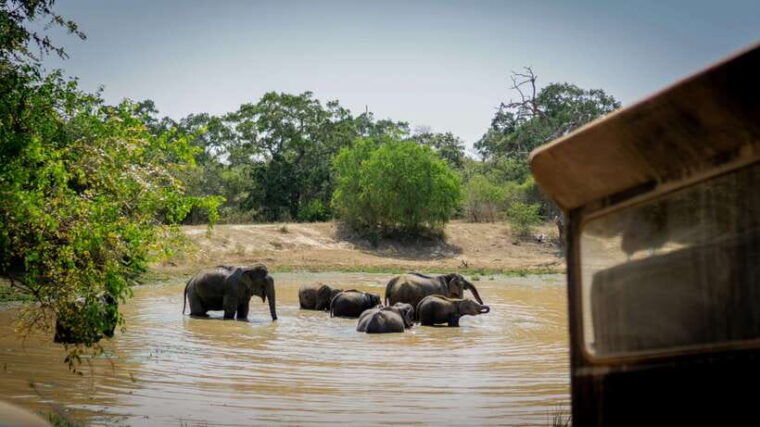 from-colombo-sri-lanka-heritage-5-day-private-tour