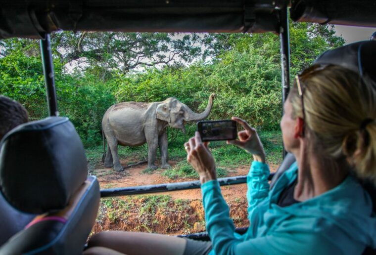 from-colombo-yala-national-park-safari-with-tickets