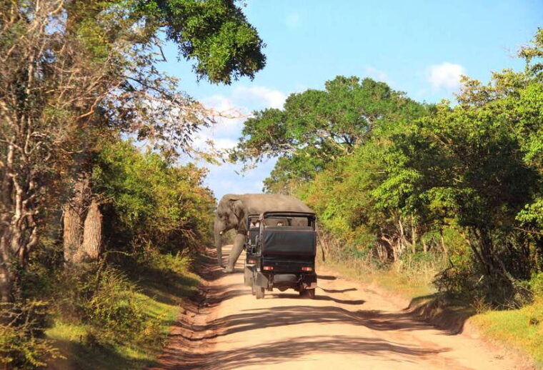 from-colombo-yala-national-park-safari-with-tickets