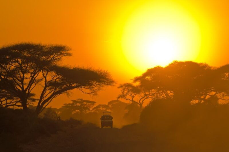 from-colombo-yala-national-park-safari-with-transfer-2