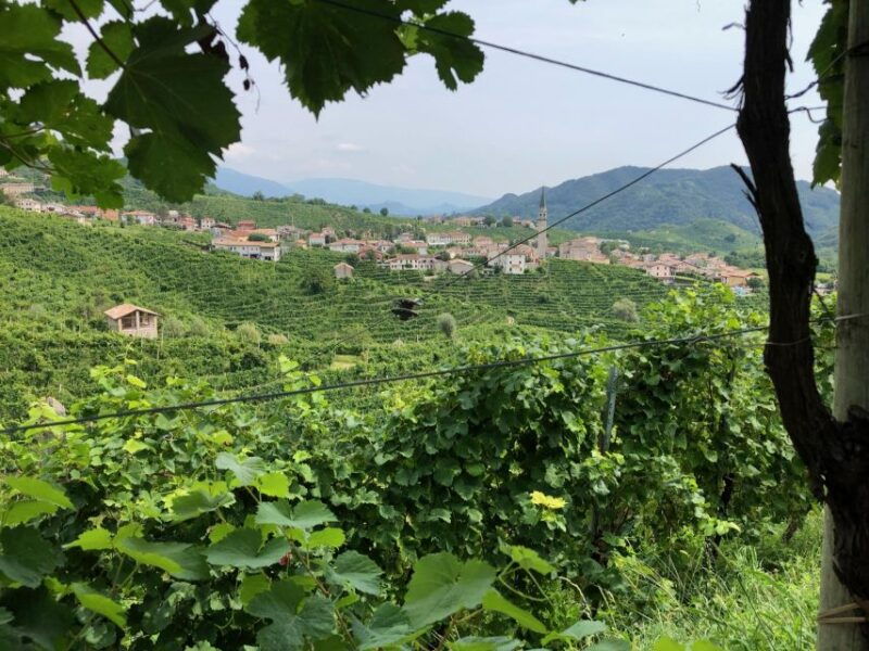 from-conegliano-prosecco-hills-wine-and-cheese-tasting-tour