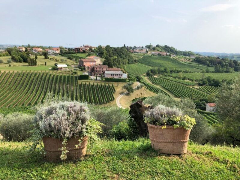 from-conegliano-prosecco-hills-wine-and-cheese-tasting-tour