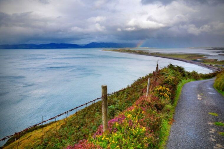 from-cork-9-hour-guided-ring-of-kerry-and-killarney-tour