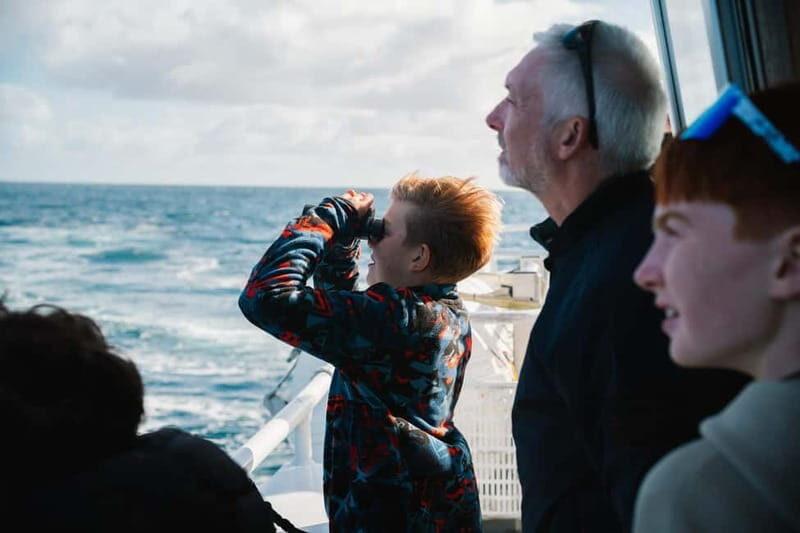From Cork: Fastnet Rock Lighthouse & Cape Clear Island Tour - An In-Depth Look at the Tour Experience