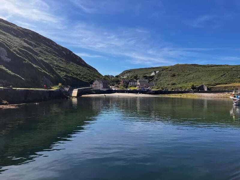 From Cork: Fastnet Rock Lighthouse & Cape Clear Island Tour - FAQ
