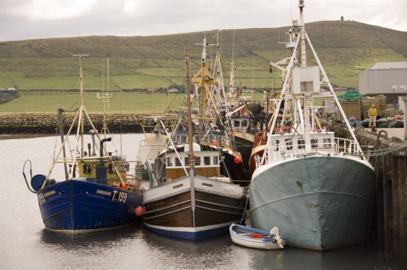 from-cork-full-day-guided-tour-to-dingle-peninsula