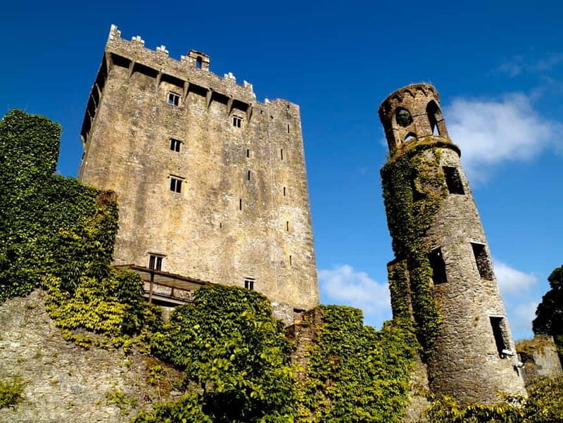 From Cork: Guided Shared Shore Excursion - Key Points