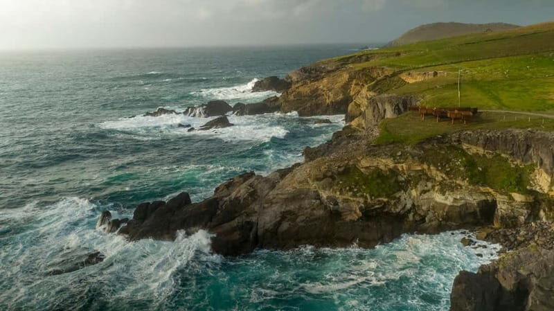 From Cork: Ring of Kerry & Killarney Guided Full Day Tour - Frequently Asked Questions