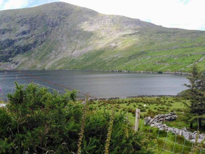 from-cork-ring-of-kerry-killarney-guided-full-day-tour