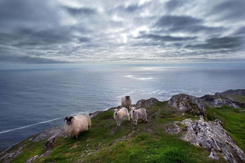 From Cork: West Cork to Mizen Head Guided Full Day Tour - The Travel Experience