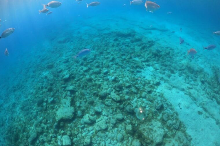 from-corralejo-lobos-island-boat-and-snorkel-activity