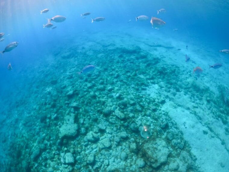from-corralejo-lobos-island-boat-and-snorkel-activity