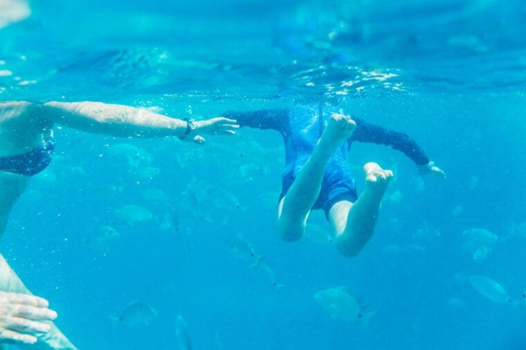 from-corralejo-round-trip-ferry-transfer-to-lobos-island