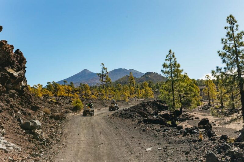 from-costa-adeje-mount-teide-forest-off-road-quad-bike-tour