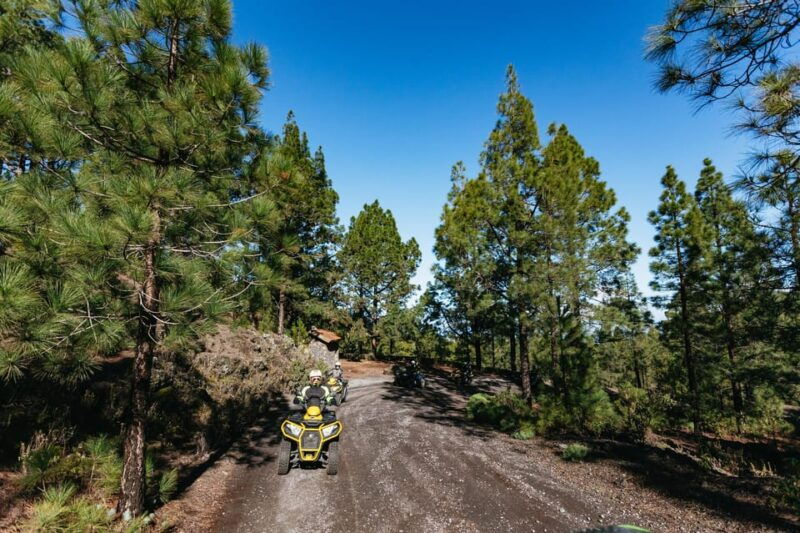 from-costa-adeje-mount-teide-forest-off-road-quad-bike-tour