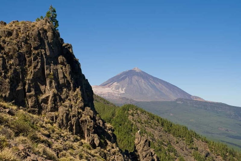 From Costa Adeje or Santa Cruz: Contrasts of Tenerife Tour - Who Should Book This Tour?