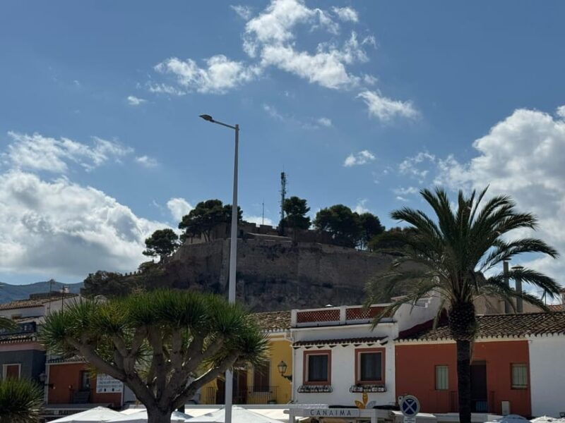 from-costa-blanca-denia-and-mediterranean-gardens-day-trip