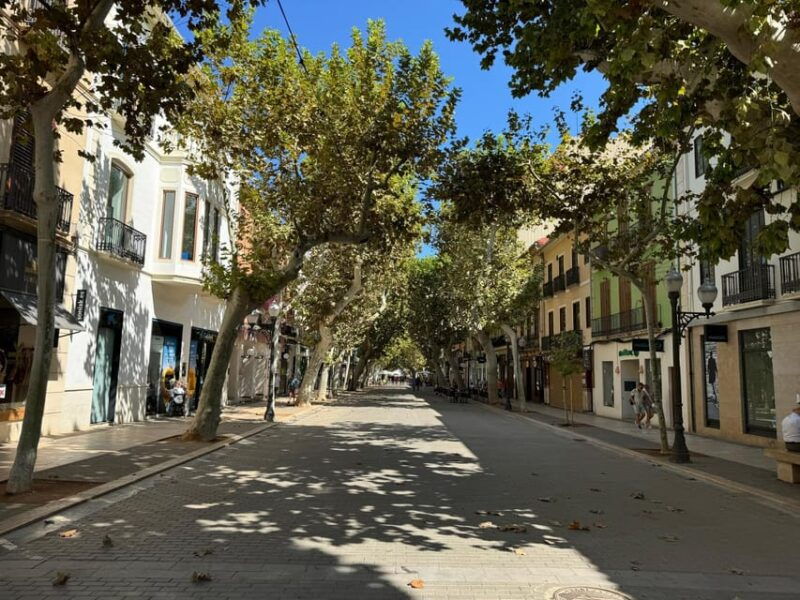 from-costa-blanca-denia-and-mediterranean-gardens-day-trip