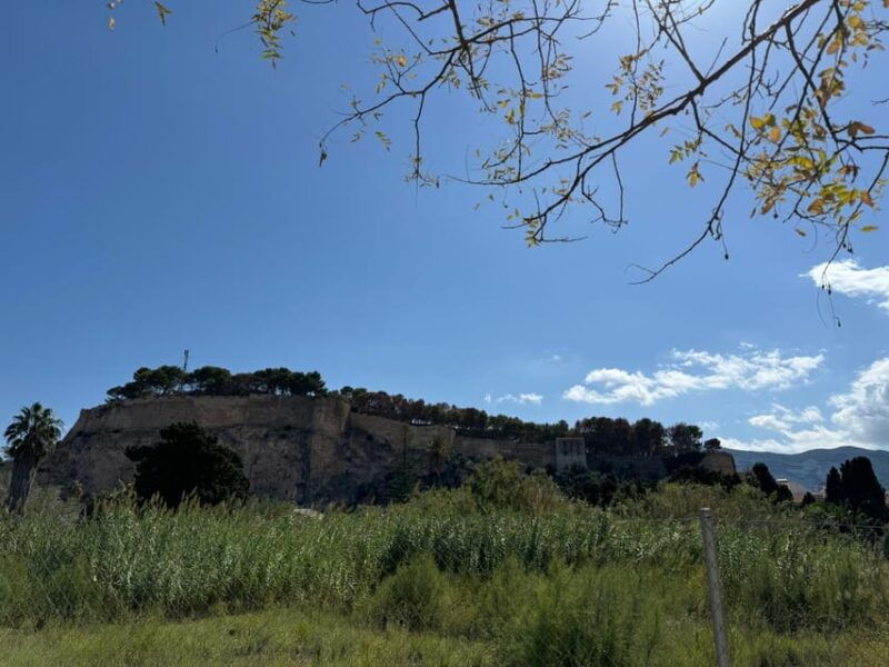 from-costa-blanca-denia-and-mediterranean-gardens-day-trip