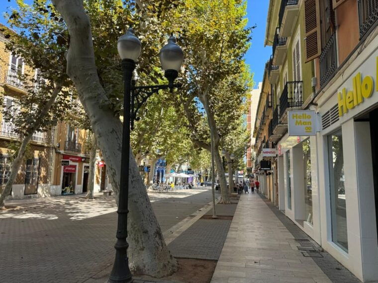 from-costa-blanca-denia-and-mediterranean-gardens-day-trip