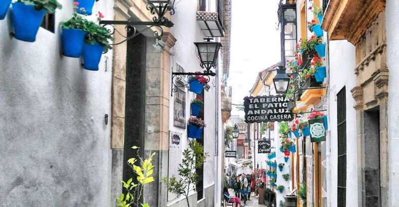 from-costa-del-sol-day-trip-to-cordoba-free-time