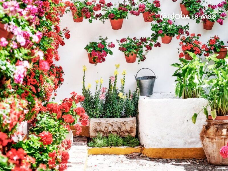 from-costa-del-sol-day-trip-to-cordoba-free-time