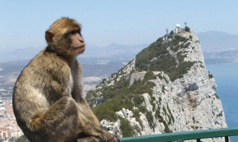 from-costa-del-sol-day-trip-to-gibraltar-with-guided-tour