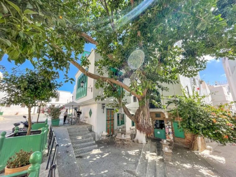 from-costa-del-sol-discover-tangier-on-a-guided-day-trip