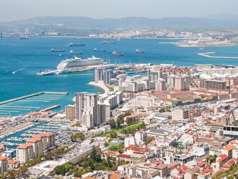 from-costa-del-sol-gibraltar-dolphin-watching-by-boat