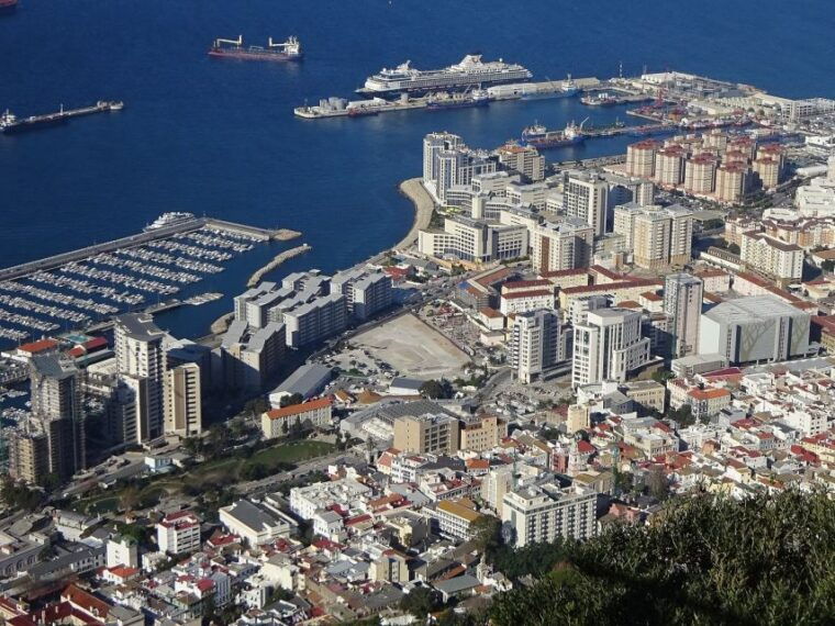 from-costa-del-sol-gibraltar-dolphin-watching-by-boat