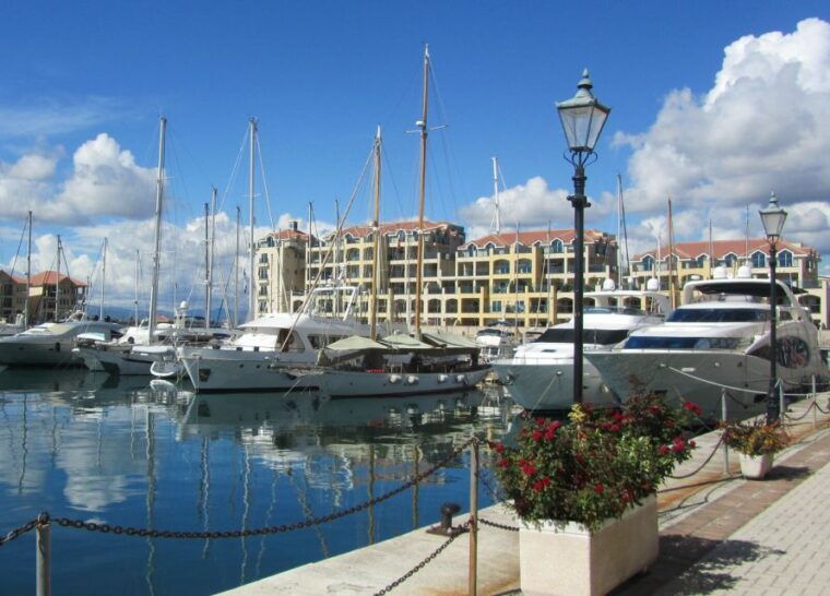 from-costa-del-sol-gibraltar-dolphin-watching-by-boat