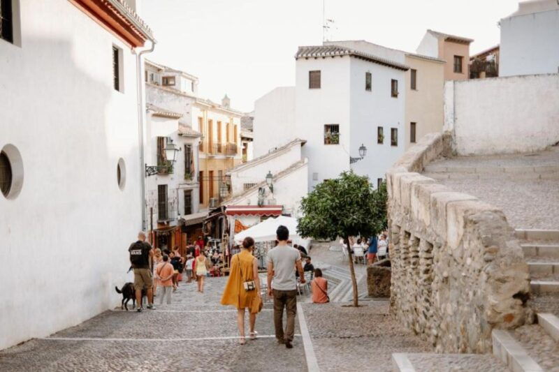 from-costa-del-sol-granada-day-trip-free-time-5h