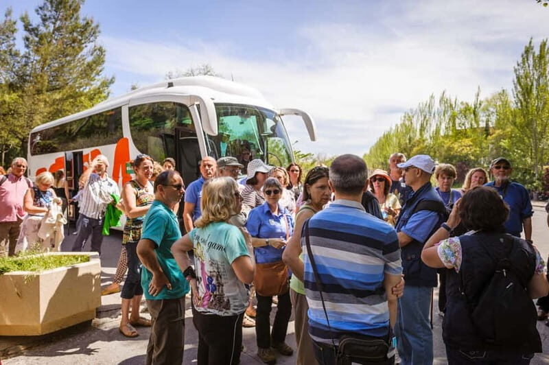 From Costa del Sol: Granada Full-Day Tour - Journey Through Granada: What to Expect
